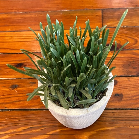 Realistic Fake Plant Green Grass Plant Mini Potted Artificial Plant in Pot - Picture 2 of 8